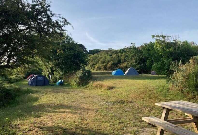 Cămin Auberge Granit Rose