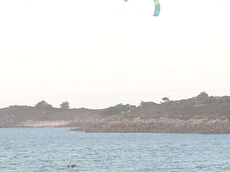 Cămin Auberge Granit Rose