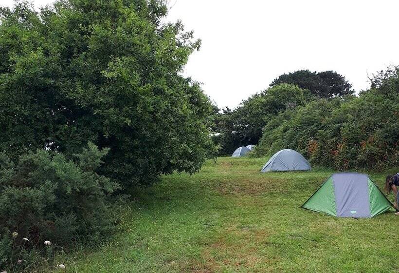 Cămin Auberge Granit Rose