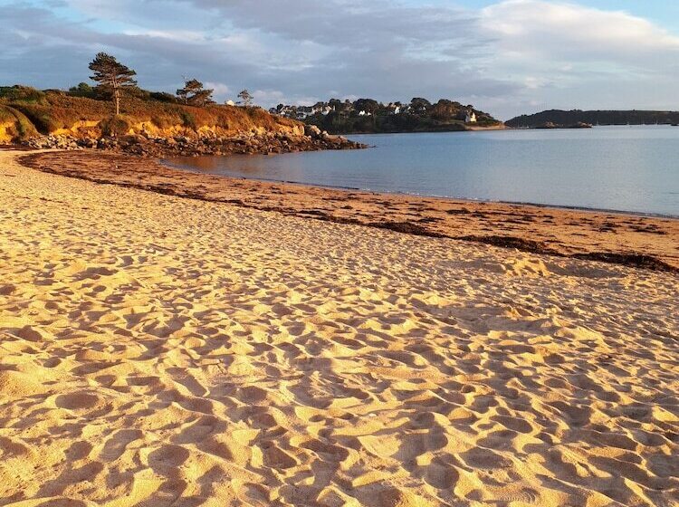 Cămin Auberge Granit Rose
