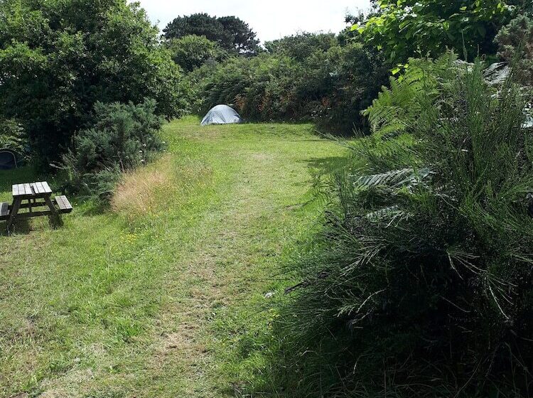 Cămin Auberge Granit Rose