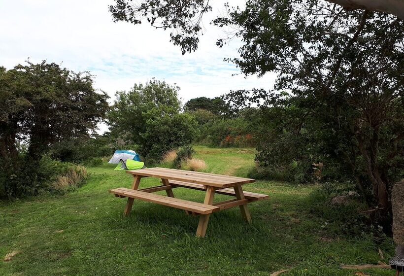 Cămin Auberge Granit Rose