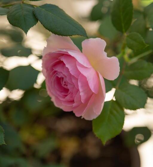 هتل Can Moio Turismo De Interior