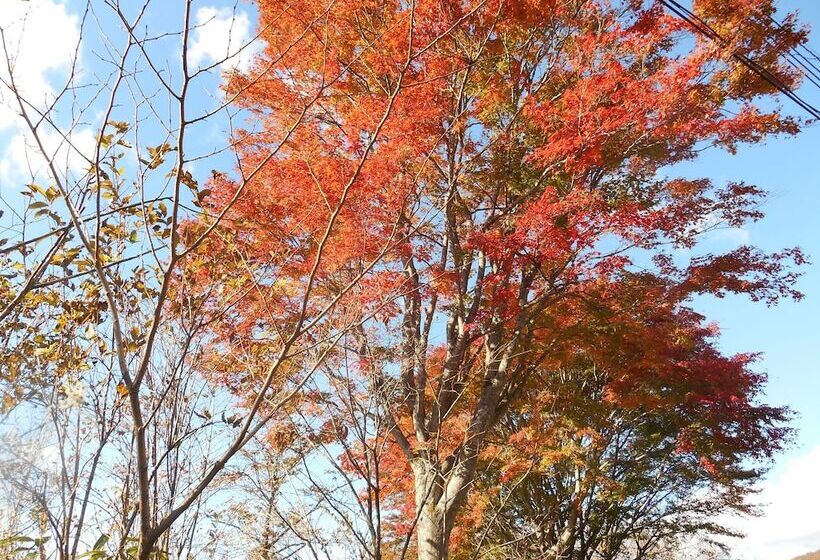 ホテル Kinugawaonsen Fukumatsu
