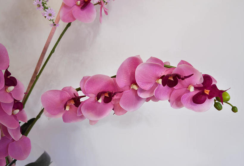 בית מלון כפרי Luxury B&b Villetta Carra