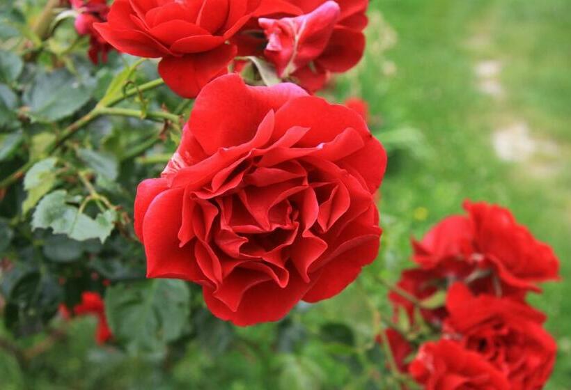 ホテル Plitvice Pansion Lovrić