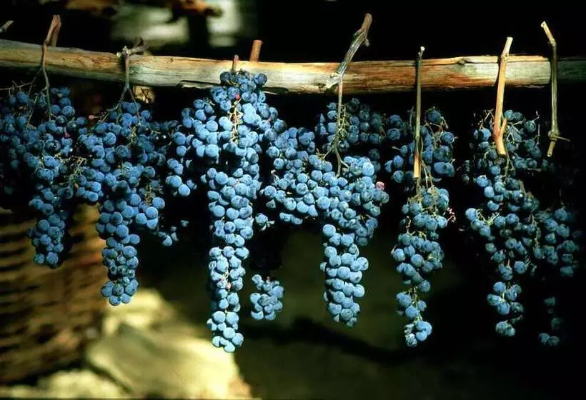 ホテル Podere Il Poggiolo