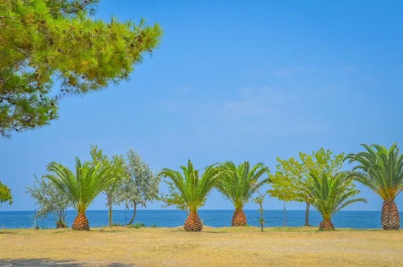 Inspira Boutique Hotel Thassos   Adults Only