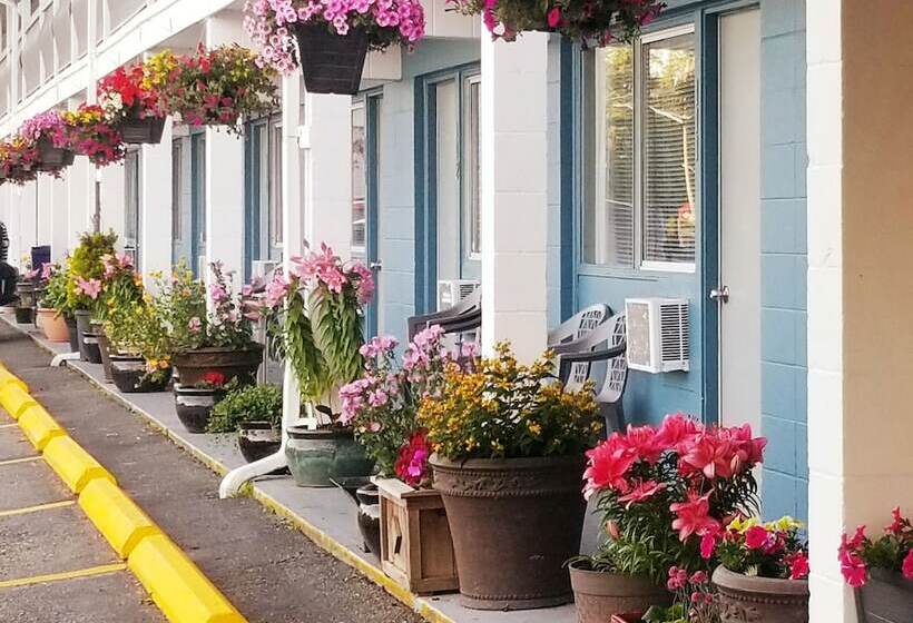 Value Lodge Economy Motel