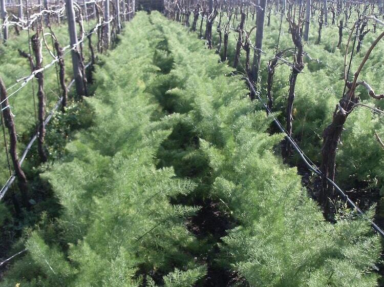 호텔 Bed & Breakfast Fuocomuorto