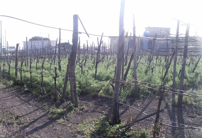 호텔 Bed & Breakfast Fuocomuorto