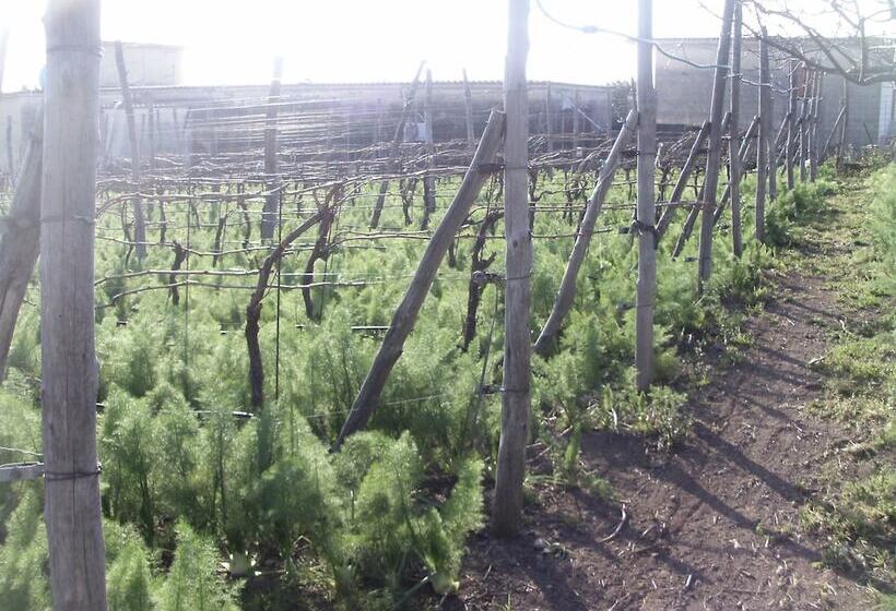 호텔 Bed & Breakfast Fuocomuorto