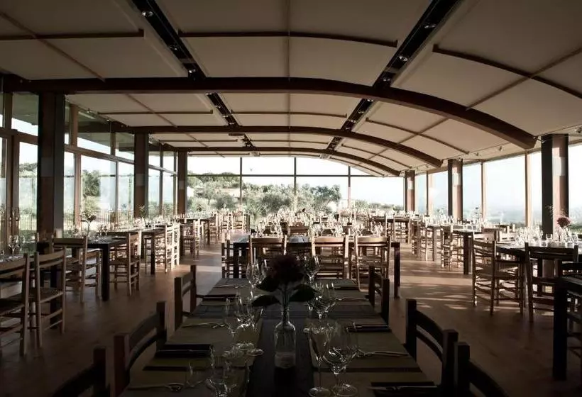 ホテル Cincinnato Wine Resort