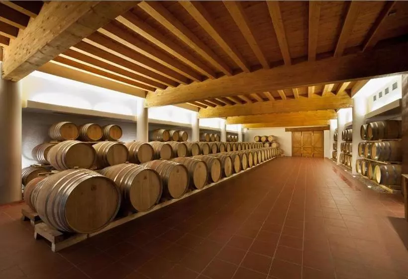 ホテル Cincinnato Wine Resort