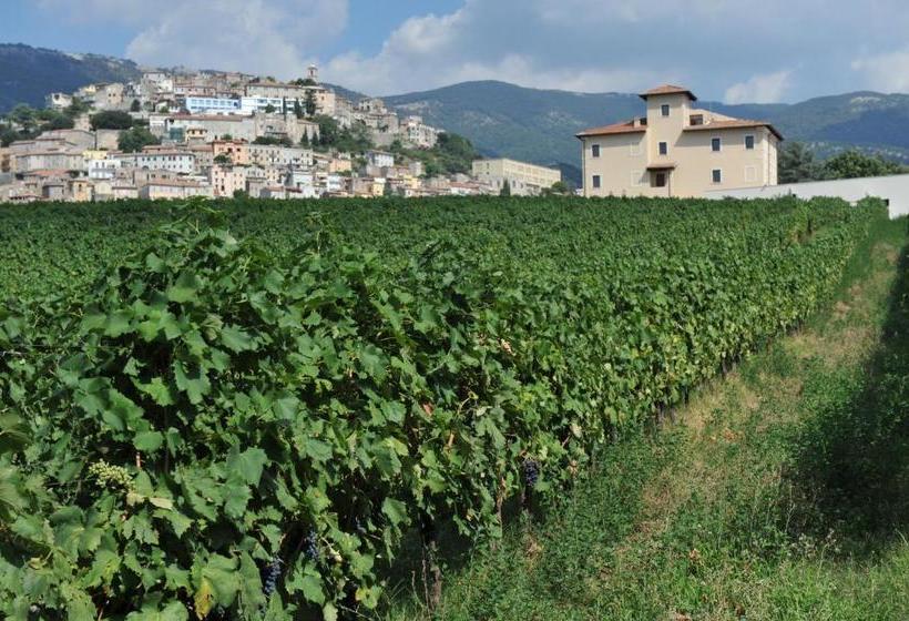 호텔 Cincinnato Wine Resort