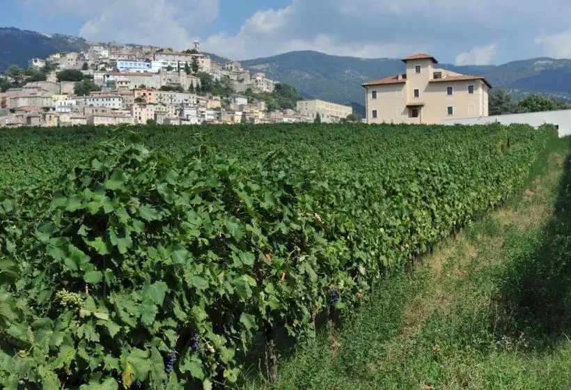 ホテル Cincinnato Wine Resort