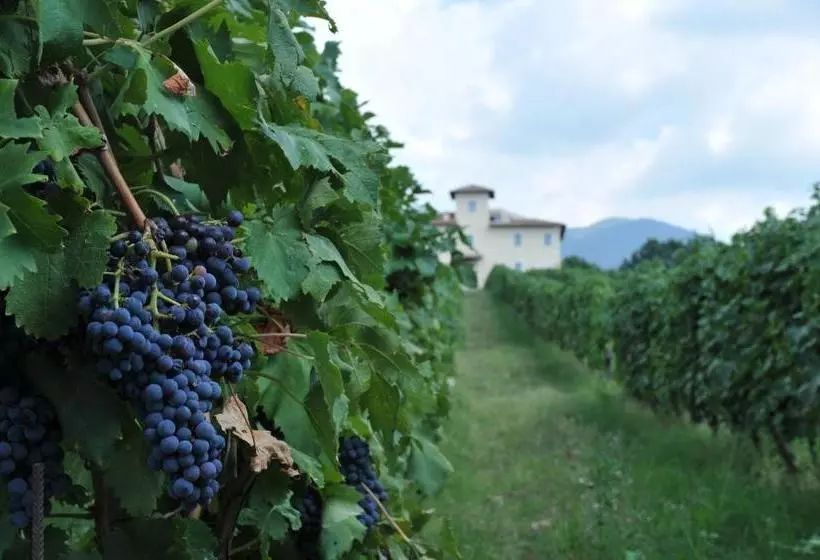 ホテル Cincinnato Wine Resort