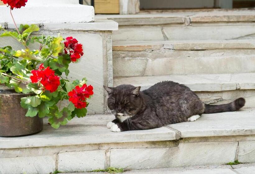בית מלון כפרי Koivulan Kartano