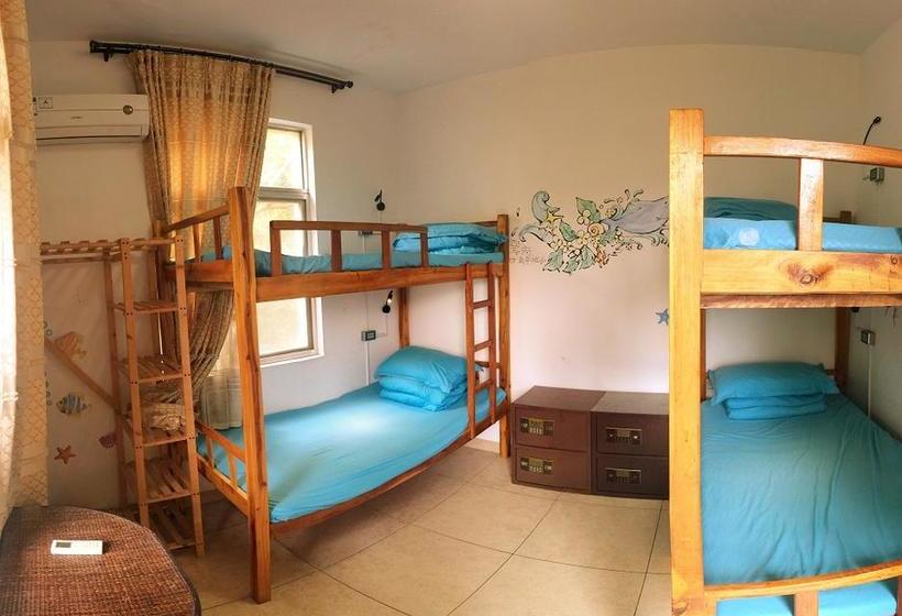 Hotel Yonghe International Youth Hostel