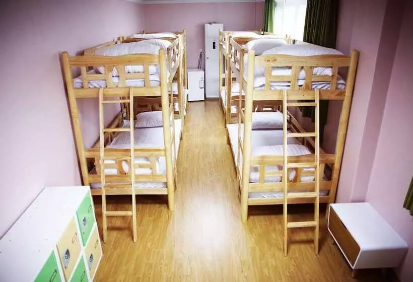 ユースホステル Jeju R Hotel & Guesthouse
