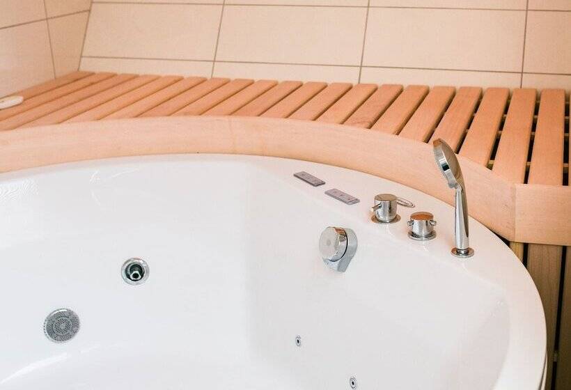 هتل Apartments & Wellness Skok