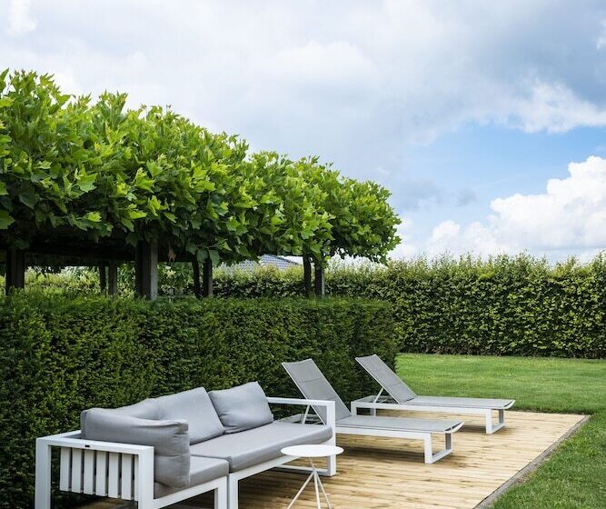 בית מלון כפרי B&b La Cereza