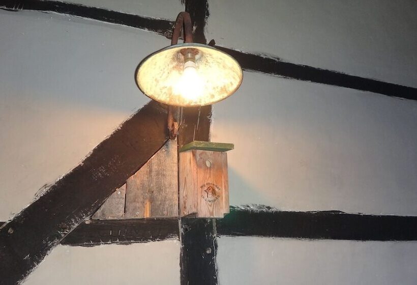 هتل B&b Rikkeshoeve