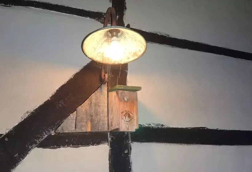 هتل B&b Rikkeshoeve
