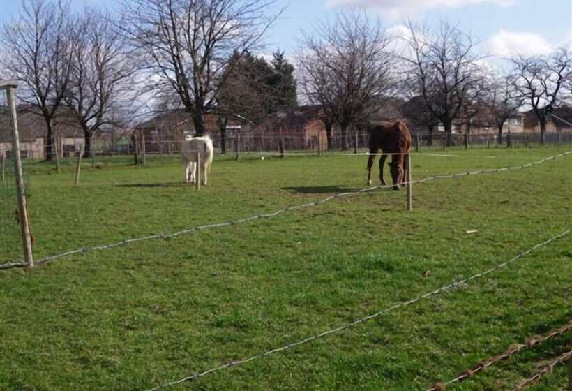 هتل B&b Rikkeshoeve