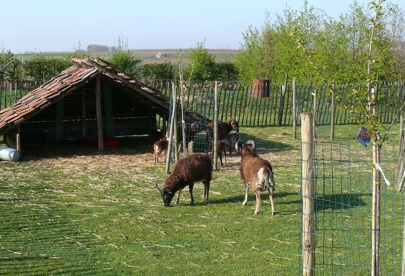 هتل B&b Rikkeshoeve