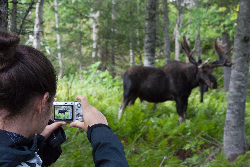 فندق Chic-chocs Montagne Lodge
