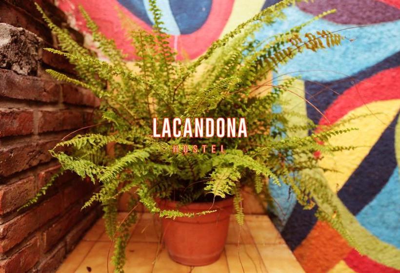 هتل Lacandona Hostel