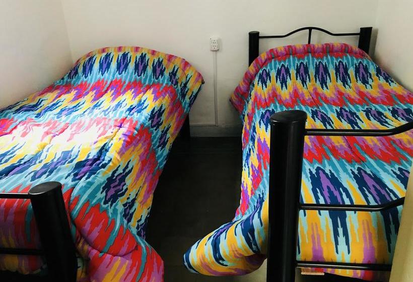 هتل Lacandona Hostel