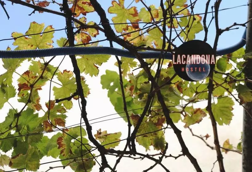 هتل Lacandona Hostel
