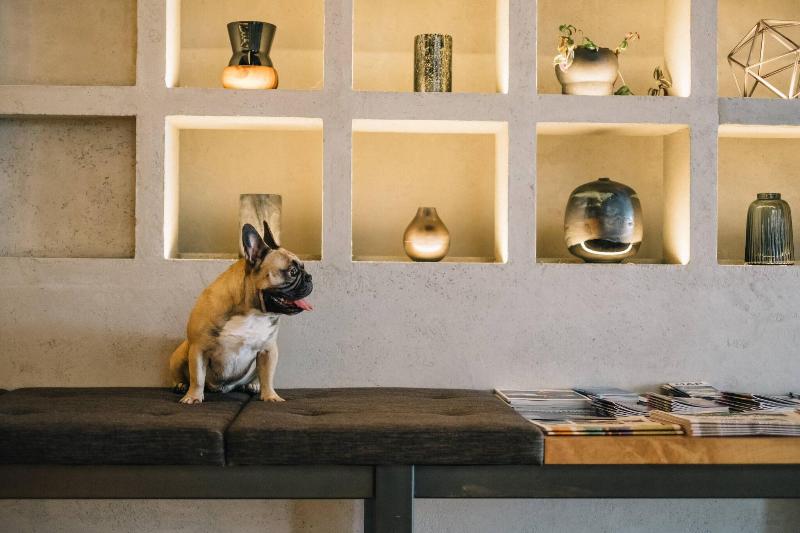 هتل The Douglas, Autograph Collection