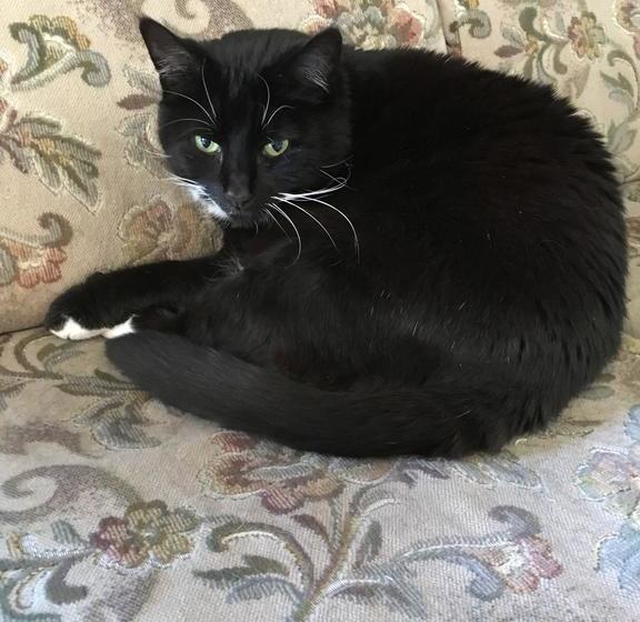 ホテル Warrnambool Beach Backpackers