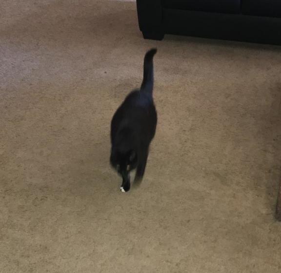 ホテル Warrnambool Beach Backpackers