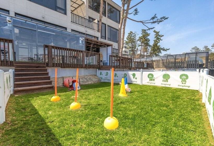 Gangneung Dangdangi Dog Pension Blue