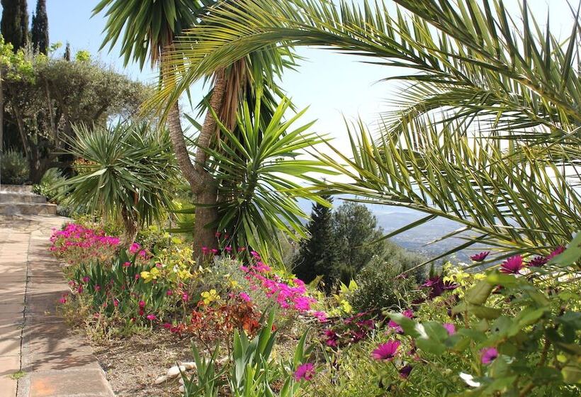 Bed and Breakfast El Nispero Dulce