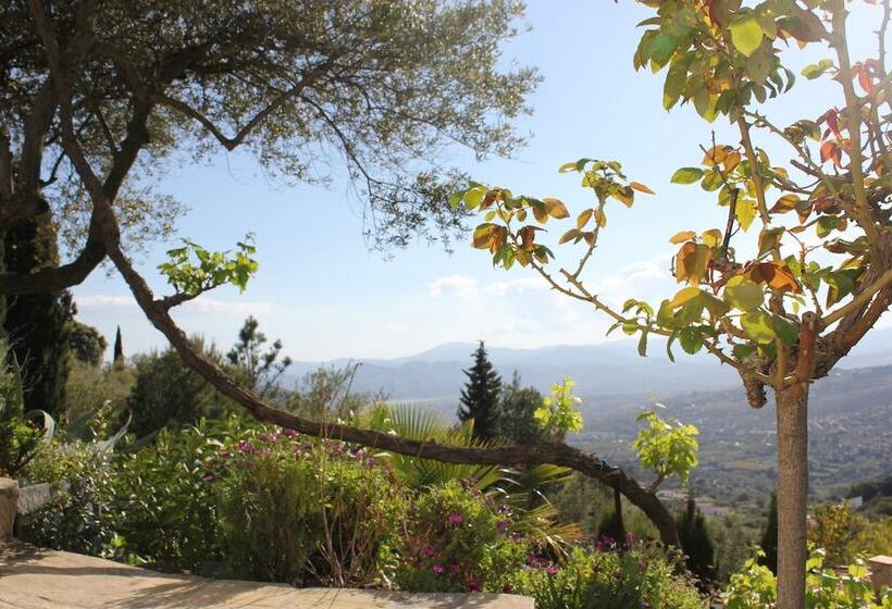 Bed and Breakfast El Nispero Dulce