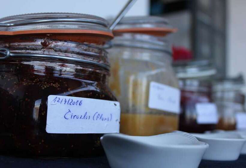 Bed and Breakfast El Nispero Dulce