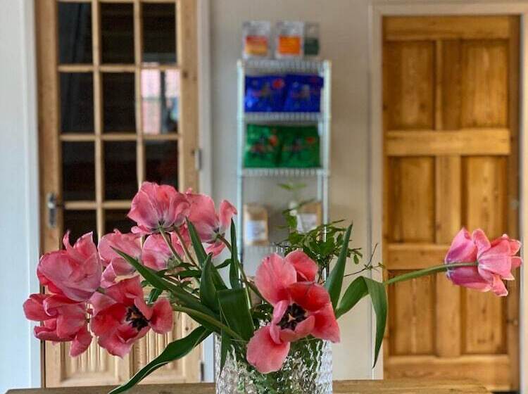 Café Mandeltårtan B&b Villafloraviola