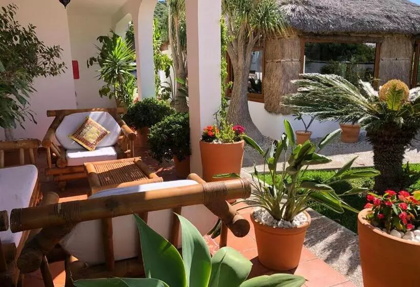 Hostal Casa Arco Iris