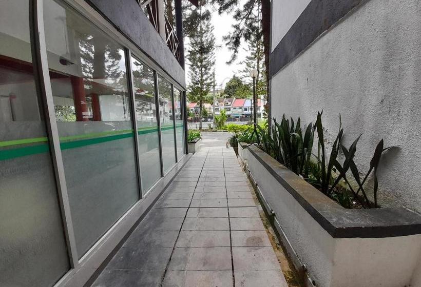 Hotel The Cool Point