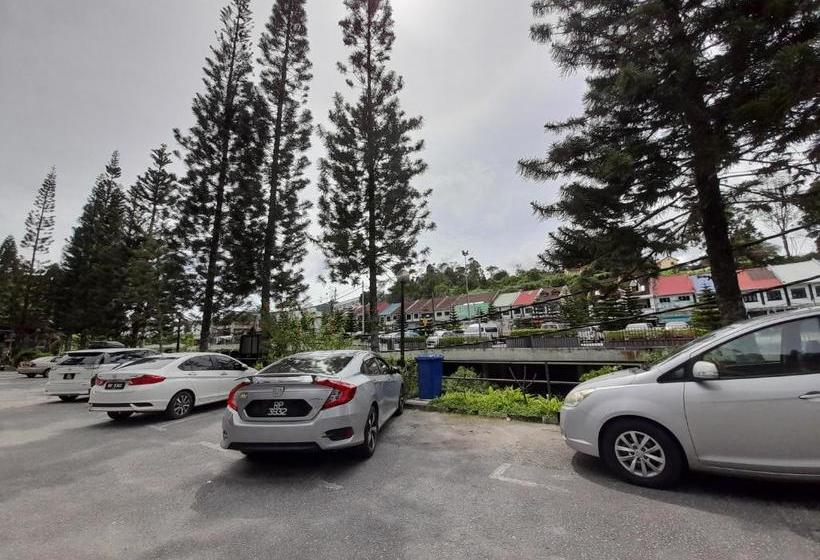 Hotel The Cool Point