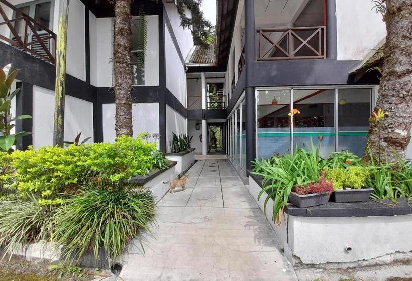 Hotel The Cool Point