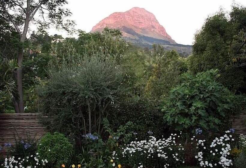 פנסיון Blaauwheim Guest House