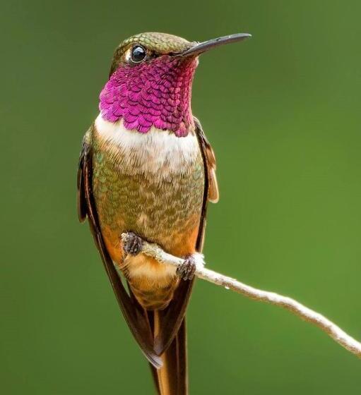 Cabañas San Gerardo