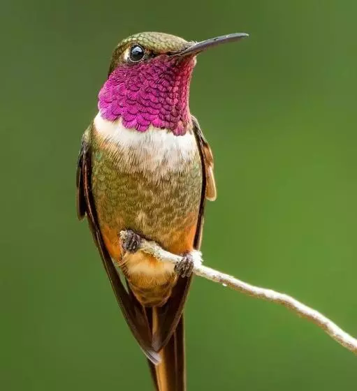 Cabañas San Gerardo