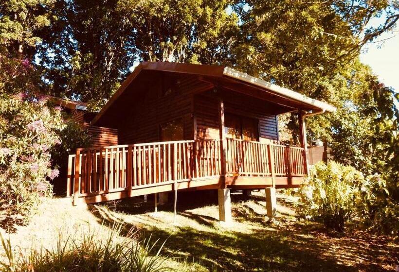 Cabañas San Gerardo